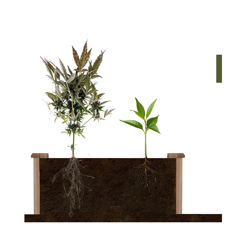 3.9피트 x 3.9피트 제기 정원 침대 상자, 세분화된 성장 그리드, 뒤뜰 식물 및 허브용 목재 재료