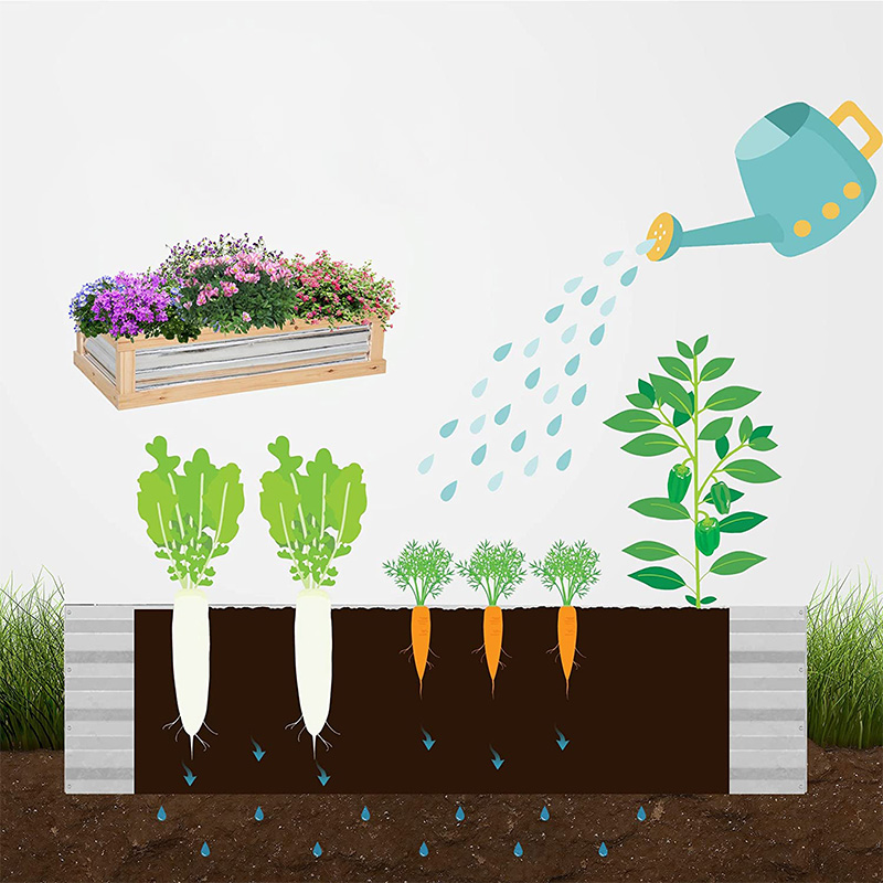 제기 정원 화단 키트 w/ 온실, 나무 콜드 프레임 화분, 자연