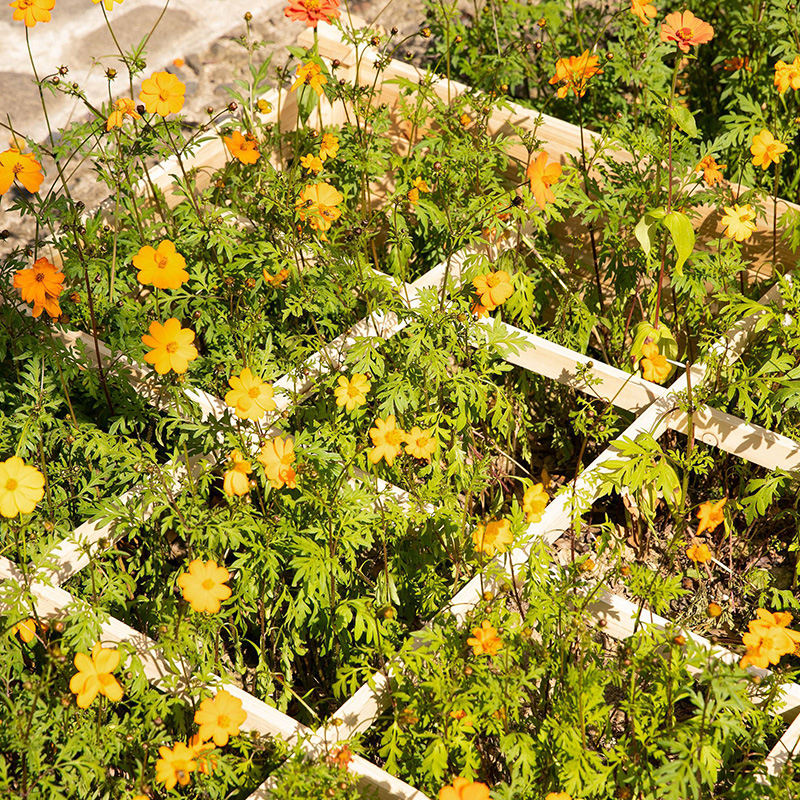 3.9피트 x 3.9피트 제기 정원 침대 상자, 세분화된 성장 그리드, 뒤뜰 식물 및 허브용 목재 재료